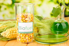 Dyan biofuel availability