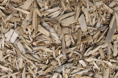 biomass boilers Dyan