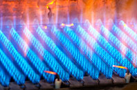 Dyan gas fired boilers